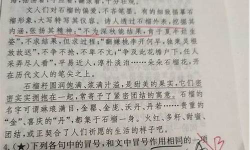 冒号解释说明的句子_冒号解释说明的句子有哪些