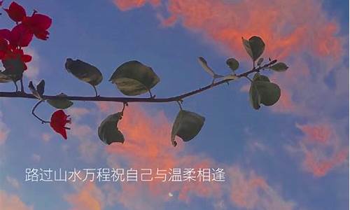 早晨的阳光说说唯美句子_早晨的阳光说说唯美句子图片