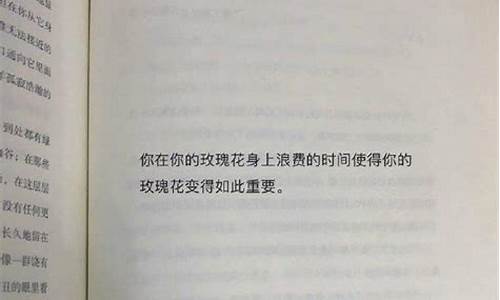 一眼惊艳的书摘文案知乎_超惊艳的书摘文案