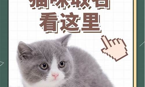 关于猫的昵称_关于猫的昵称男生霸气