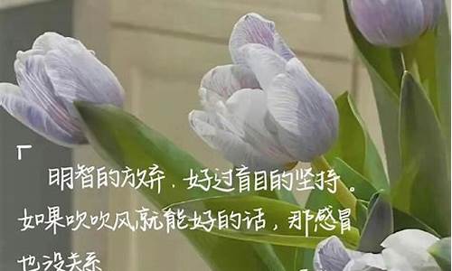 发朋友圈简短美句_发朋友圈的精美短句子句句深刻走心