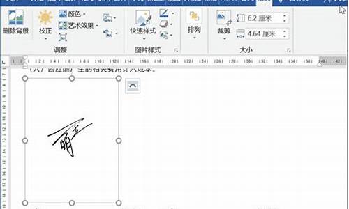 Wps怎么制作电子签名_wps怎么制作电子签名照片